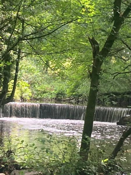 2024 Calendar - photo judging Main Photo