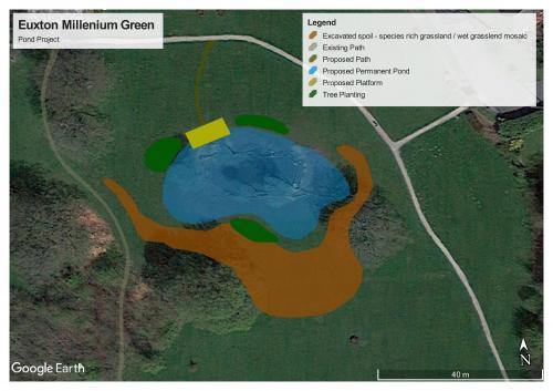 Millennium Green Pond and Bluebell woods