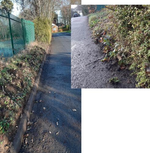 Reclaiming the roadside!