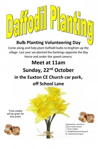 Come and Join Us Daffodil Bulb Planting