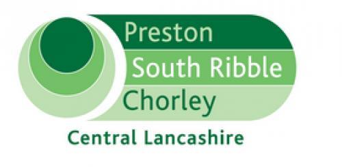 Local Plan - Preferred Options Report Response